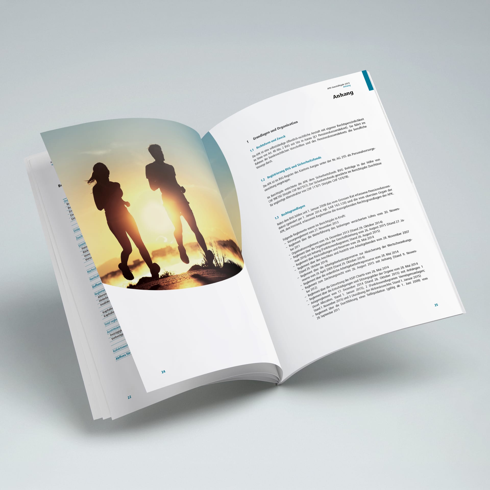 APK, Handbuch, Geschäftsbericht, Layout